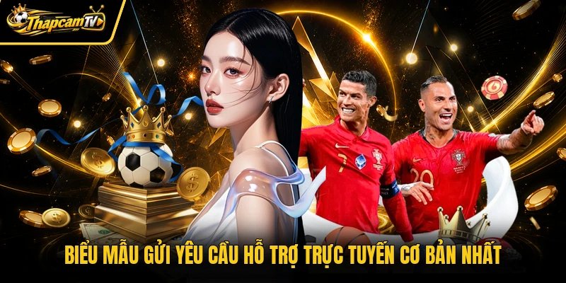 Biểu mẫu gửi yêu cầu hỗ trợ trực tuyến cơ bản nhất