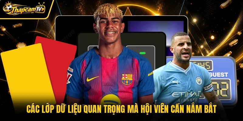 Các lớp dữ liệu quan trọng mà hội viên cần nắm bắt