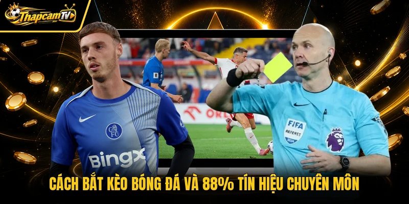 Cách bắt kèo bóng đá và 88% tín hiệu chuyên môn