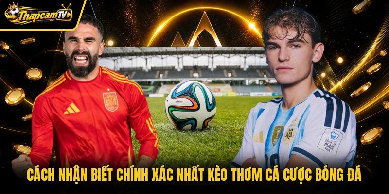 Cách nhận biết chính xác nhất kèo thơm cá cược bóng đá