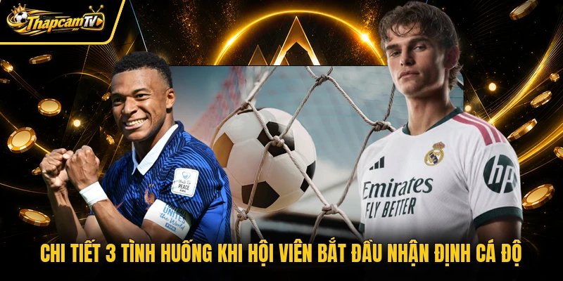 Chi tiết 3 tình huống khi hội viên bắt đầu nhận định cá độ