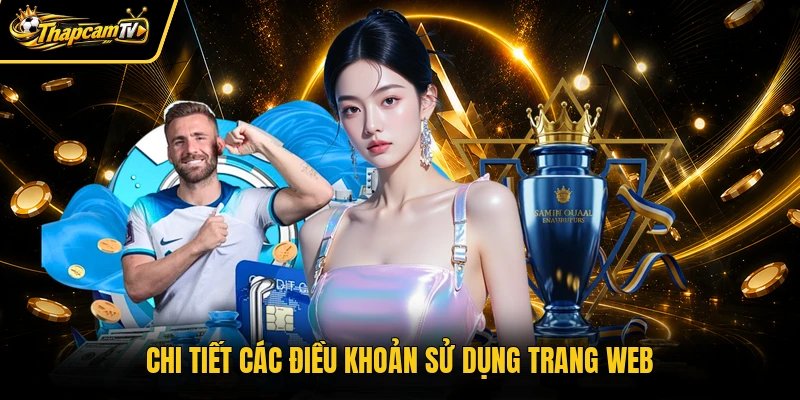 Chi tiết các điều khoản sử dụng trang web