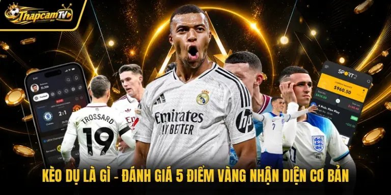 Kèo Dụ Là Gì - Đánh Giá 5 Điểm Vàng Nhận Diện Cơ Bản
