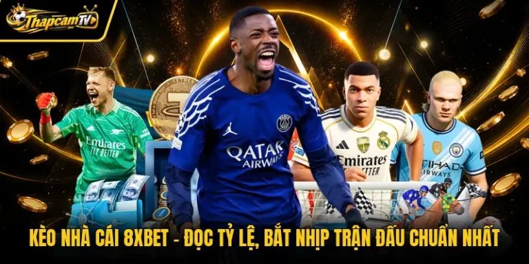 Kèo Nhà Cái 8xbet - Đọc Tỷ Lệ, Bắt Nhịp Trận Đấu Chuẩn Nhất