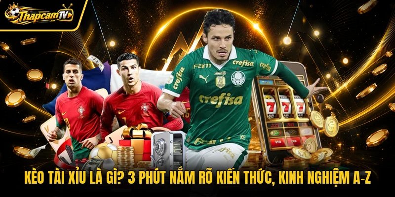 Kèo Tài Xỉu Là Gì? 3 Phút Nắm Rõ Kiến Thức, Kinh Nghiệm A-Z