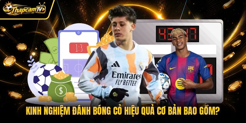 Kinh nghiệm đánh bóng cỏ hiệu quả cơ bản bao gồm?