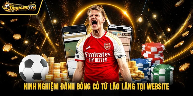 Kinh nghiệm đánh bóng cỏ từ lão làng tại website