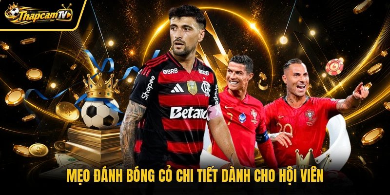 Mẹo đánh bóng cỏ chi tiết dành cho hội viên