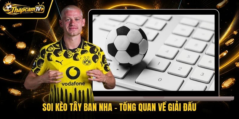 Soi kèo bóng đá Tây Ban Nha - Tổng quan về giải đấu