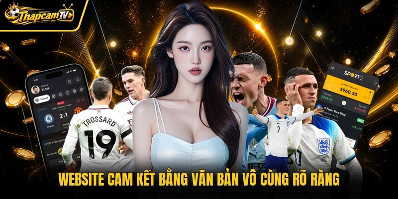 Website cam kết bằng văn bản vô cùng rõ ràng