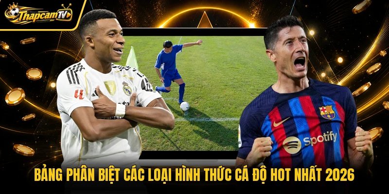 Bảng phân biệt các loại hình thức cá độ hot nhất 2026