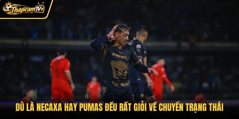 Dù là Necaxa hay Pumas đều rất giỏi về chuyển trạng thái