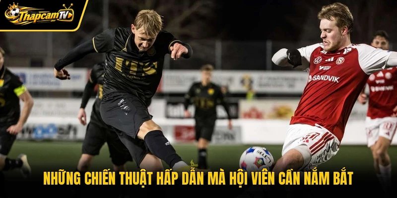 Những chiến thuật hấp dẫn mà hội viên cần nắm bắt