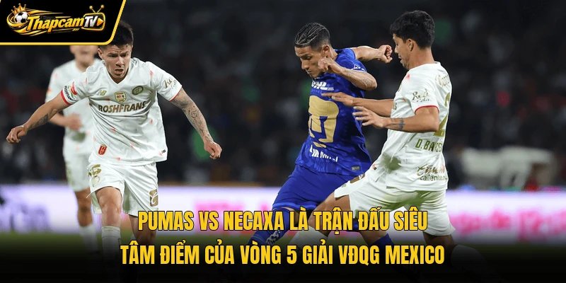 Pumas vs Necaxa là trận đấu siêu tâm điểm của vòng 5 giải VĐQG Mexico